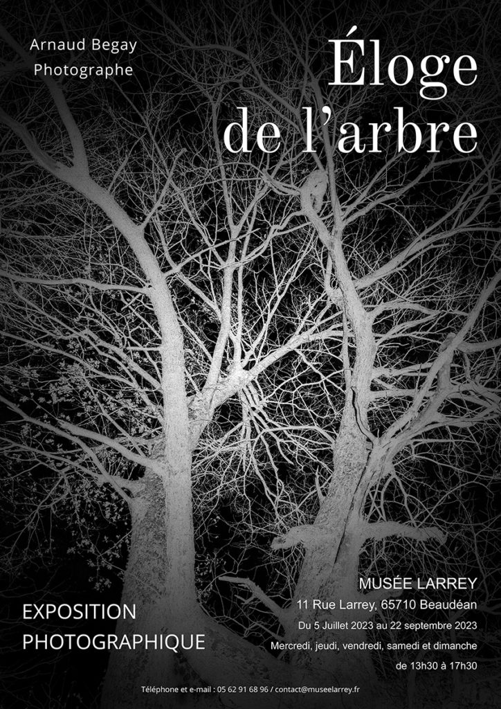 Exposition photographique : Éloge de l’arbre